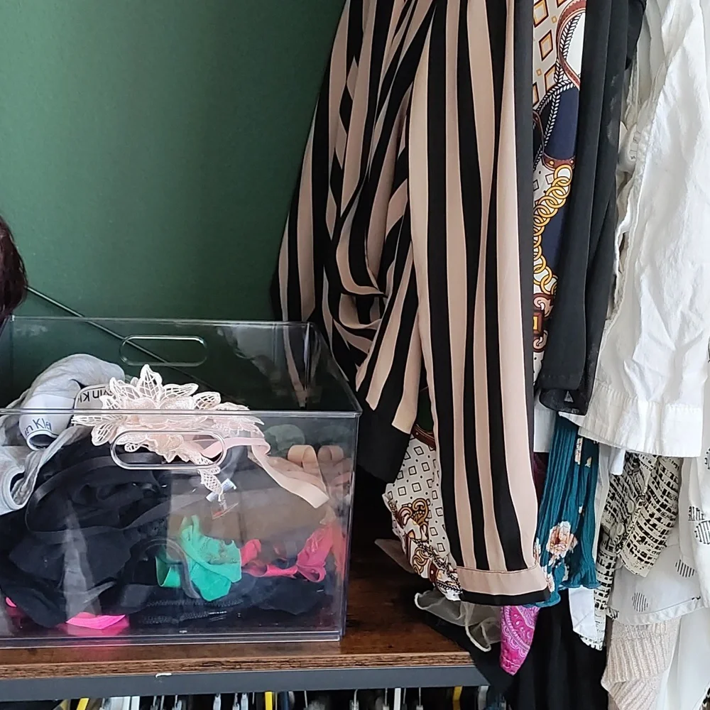 COPY - Clear Storage Bin